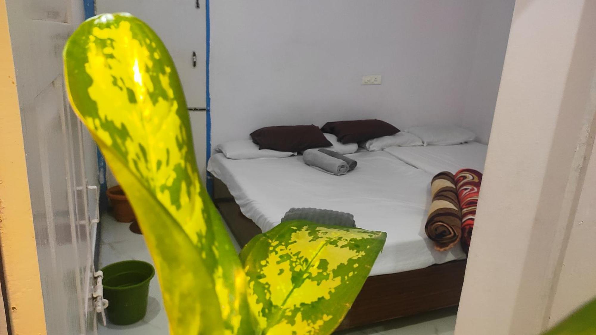 Adh Amilia Gardens Hotell Narasimharaja Puram Exteriör bild