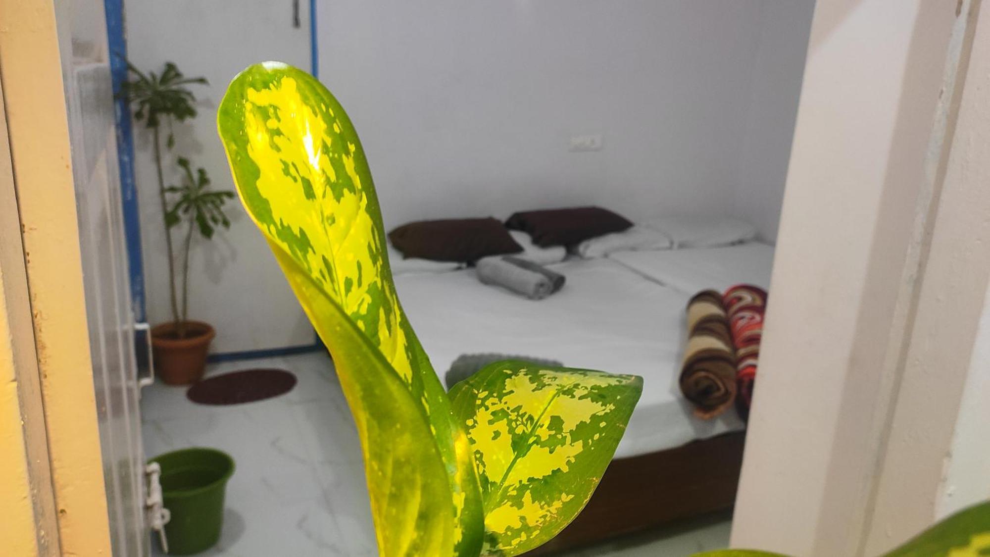 Adh Amilia Gardens Hotell Narasimharaja Puram Exteriör bild